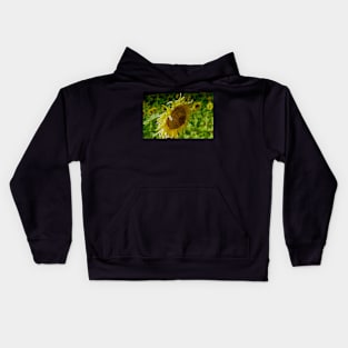 Bee approaching a sunflower Kids Hoodie